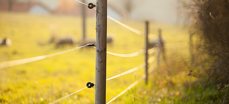 When Would You Need Electric Fencing and Is It Safe - Gold Coast