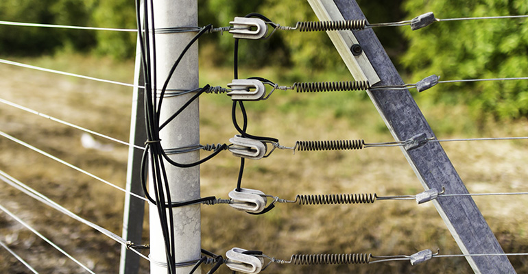 PROS and CONS of Electric Fences - Gold Coast